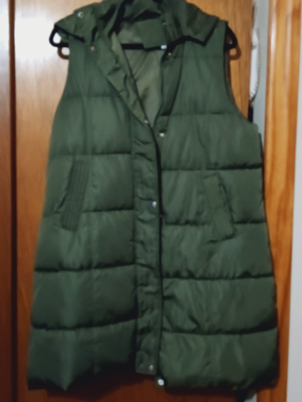 Sleeveless Puffer Vest in Olive Green